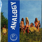 the album cover for Analogy - Analogy