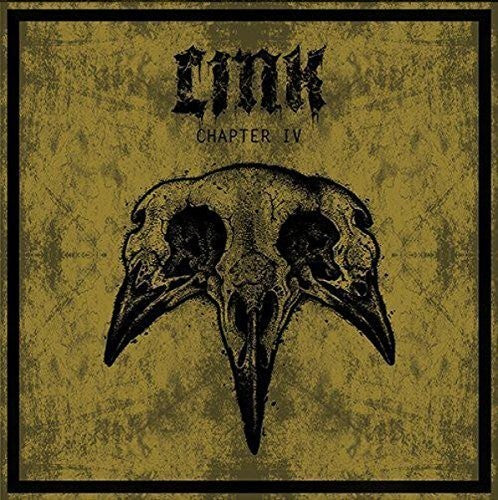 the album cover for Link - Chapter Iv