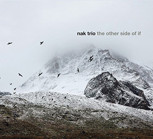 the album cover for NAK Trio - The Other Side Of If