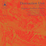 the album cover for Destruction Unit - Negative Feedback Resistor