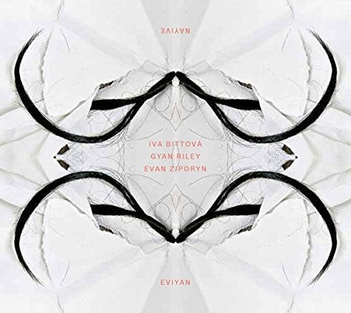 the album cover for Iva Bittov  - Eviyan