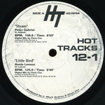 Various : Hot Tracks 12-1 (2x12", Promo)