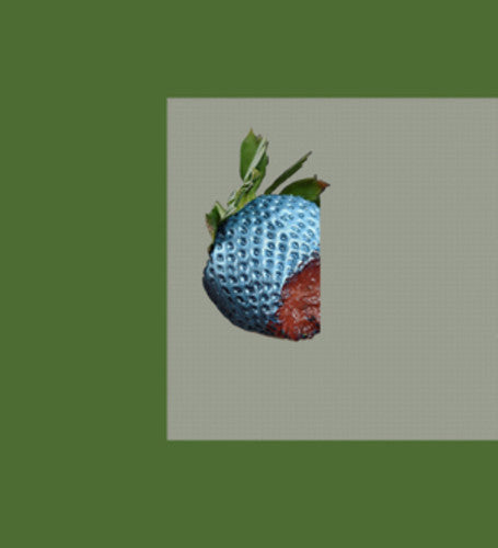 Bichkraft - Mascota (Vinilo)