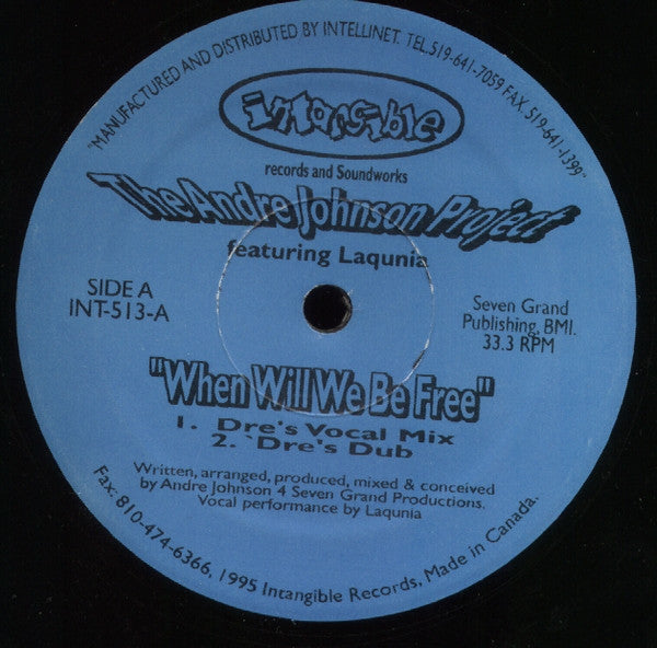 The Andre Johnson Project* Featuring Laqunia : When Will We Be Free (12")