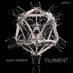 the album cover for Dessner / Eighth Blackbird / Dessner / Muhly - Filament