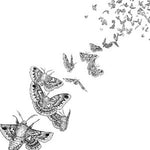 Des Ark - Everything Dies (CD)