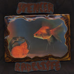 the album cover for Spencer Radcliffe - Looking In [Vinyl]