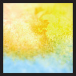 the album cover for Birthmark - How You Look When You're Falling Down