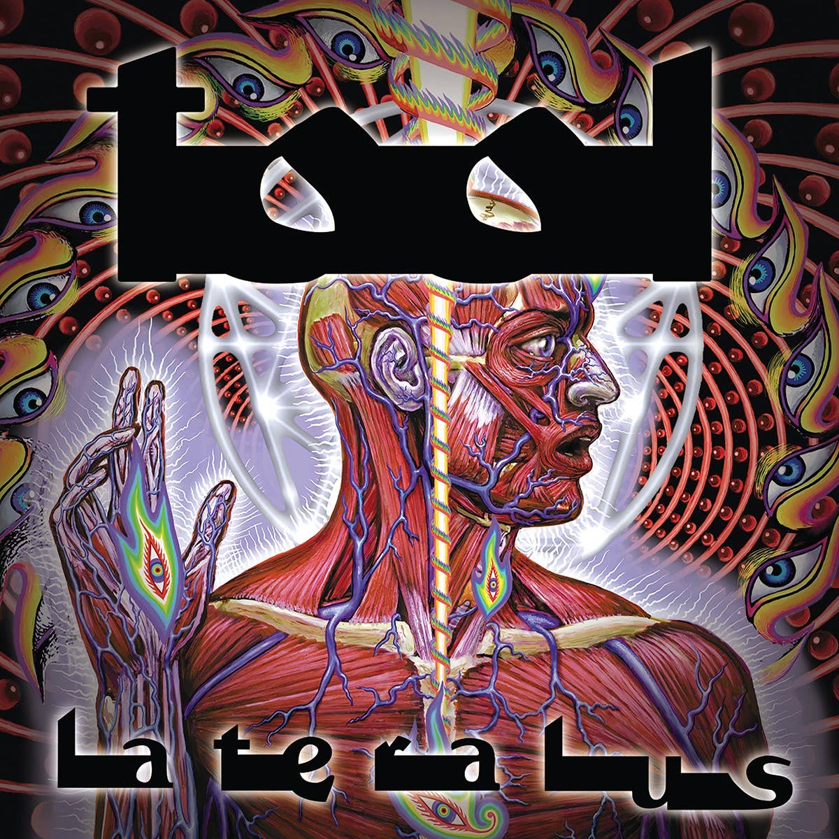 Tool Lateralus Album 12x12