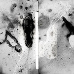 Certain Creatures - Vipassana (Vinyl)