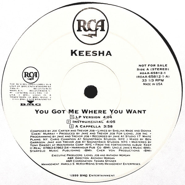 Keesha : You Got Me Where You Want (12", Promo)
