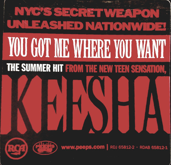 Keesha : You Got Me Where You Want (12", Promo)