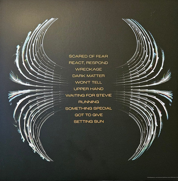 Pearl Jam : Dark Matter (LP, Album, Ltd, Red)