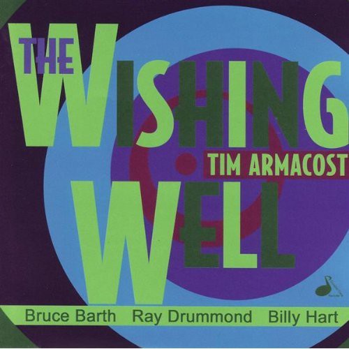 the album cover for Tim Armacost - The Wishing Well