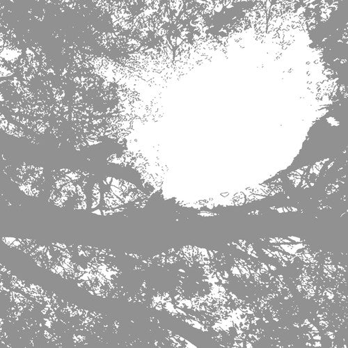 コメッツ・オン・ファイア - フィールド・レコーディングス・フロム・ザ・サン (レコード)