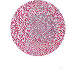 the album cover for Julia Brown - An Abundance of Strawberries