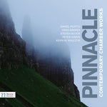 the album cover for Bakker / Perttu / Desalvo / Bubenickova / Kaucka - Pinnacle