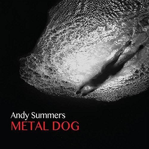 the album cover for Andy Summer - Metal Dog