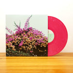 Jay Som - Turn Into (Vinilo)