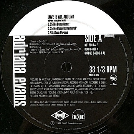 Adriana Evans : Love Is All Around (12", Promo)