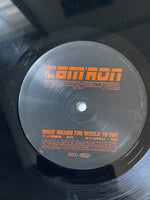 Cam'ron : What Means The World To You (12", Promo)