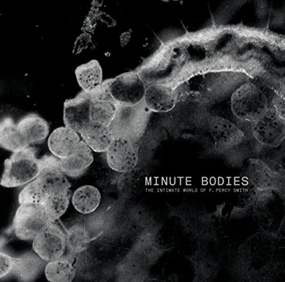the album cover for Tindersticks - Minute Bodies: Intimate World Of F. Percy Smith