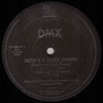 DMX : How's It Goin' Down (12")