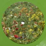 Billie Eilish : Birds Of A Feather (7", Single, Bioplastic, Ltd, Gre)