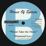Tom Noble (3) Presents House Of Spirits (2) : House Of Spirits (2x12", Album)