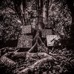 Kamasi Washington - Armonía de la diferencia (Vinilo)