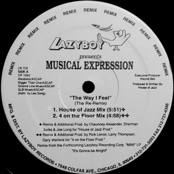 Musical Expression : The Way I Feel (The Re-Remix) (12")