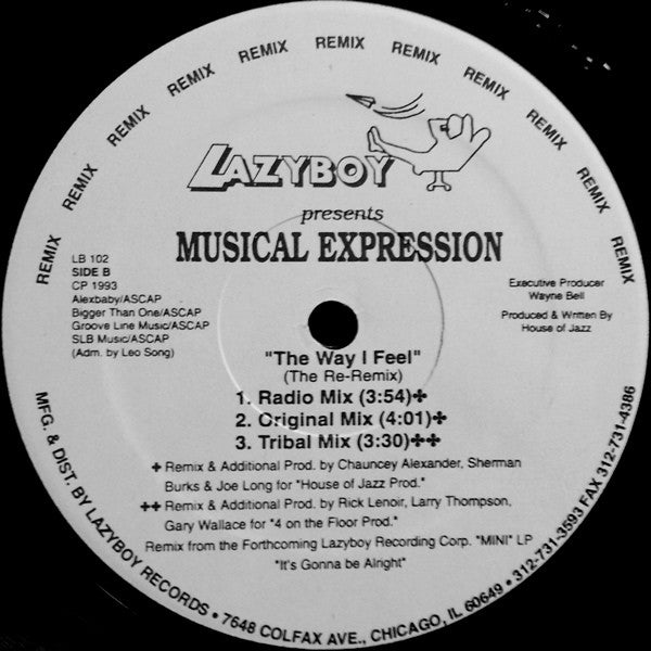 Musical Expression : The Way I Feel (The Re-Remix) (12")