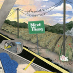 the album cover for Frankie Cosmos - Next Thing