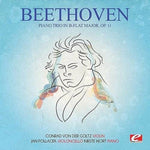 the album cover for Conrad Von Der Goltz - Piano Trio in B-Flat Major Op. 11