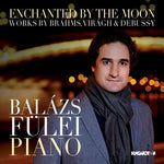 the album cover for Brahms / Balazs Fulei - Enchanted By the Moon