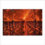 Tim Kinsella - Firecracker In A Box Of Mirrors (Orange Vinyl) (Vinyl)