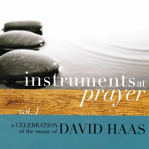 the album cover for David Haas - Instruments at Prayer 1