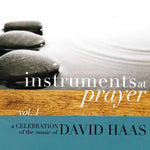 the album cover for David Haas - Instruments at Prayer 1