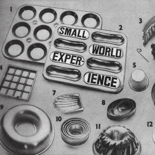 the album cover for Small World Experience - Shelf-life