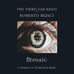 the album cover for Third Ear Band V Roberto Musci - Mosaic