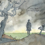 James Blake - El color en cualquier cosa (Vinilo)