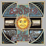 [PRE-ORDER] The Bevis Frond - Any Gas Faster (Vinyl)