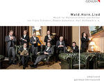 the album cover for K Goldmark / Hornsound,German - Wald.horn.lied