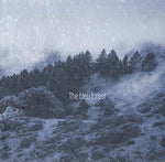 the album cover for Bleu Forest - Thousand Trees