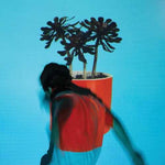 the album cover for Local Natives - Sunlit Youth