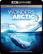 Imax: Wonders of the Arctic (4K Ultra HD)