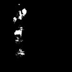 Jack Rose - Red Horse White Mule (Vinyl)