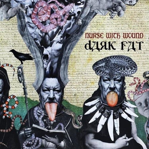 the album cover for Nurse With Wound - Dark Fat