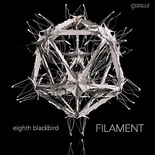the album cover for B Dessner / Eighth Blackbird - Filament