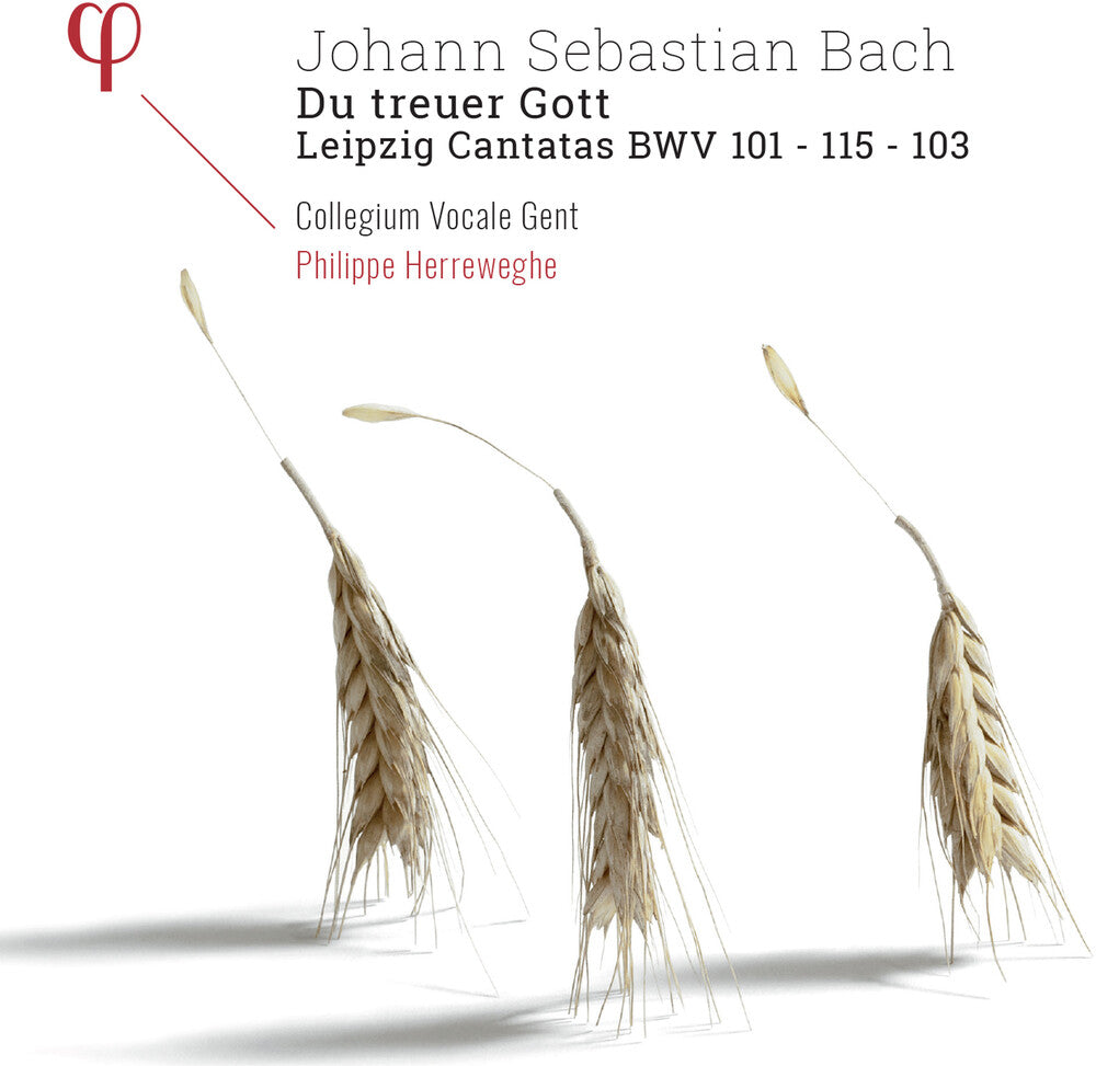 the album cover for Bach / Philippe Herreweghe / Collegium Vocale - Du Treuer Gott / Leipzig Cantatas